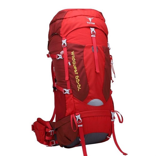 کوله پشتی کوهنوردی 5+65 لیتری کاراکال مدل 8146-Caracal Wildguest KA