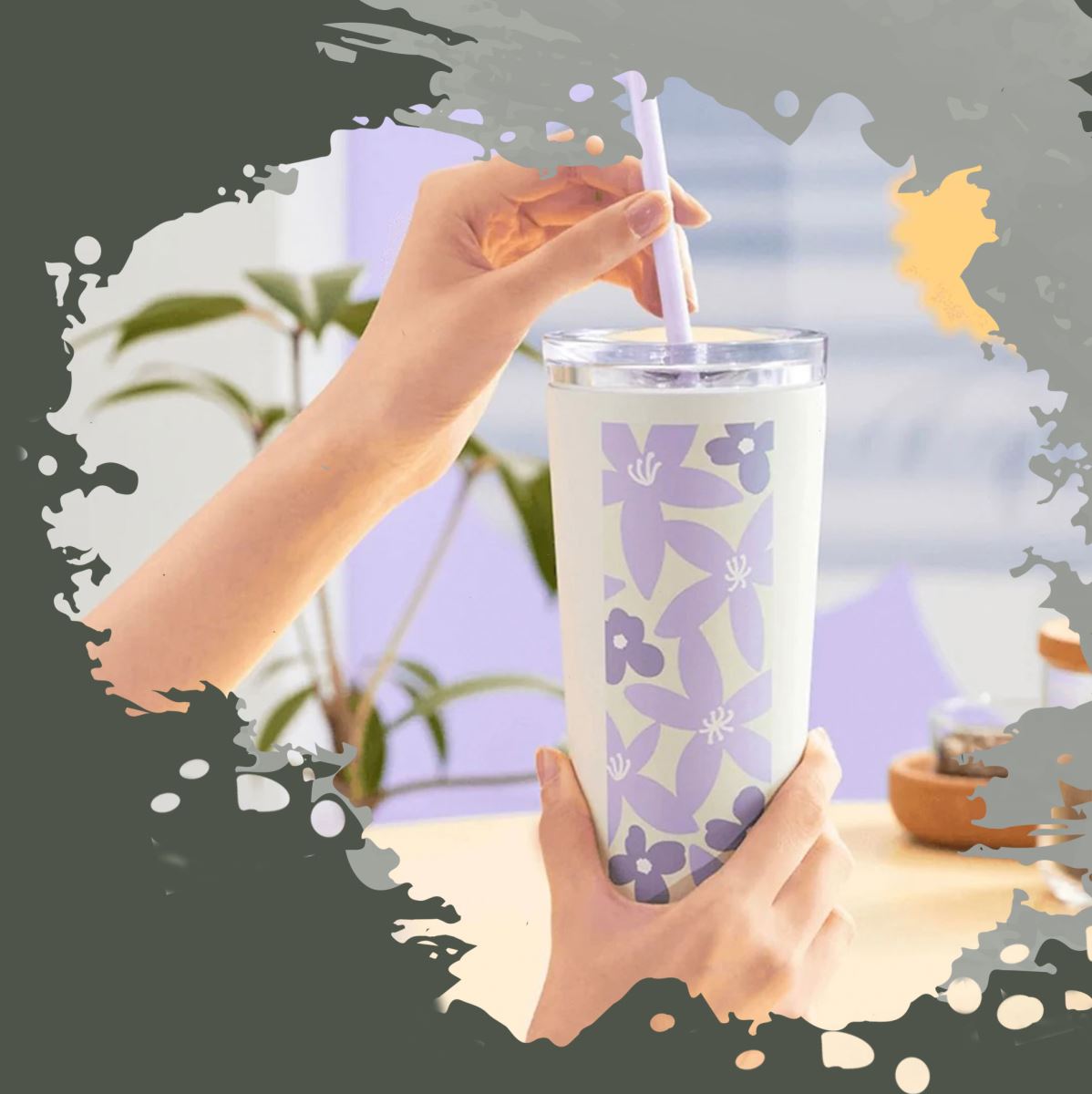 استارباکس نی دار